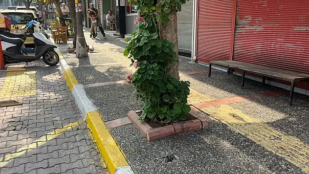 Sokakta hareketsiz bulundu