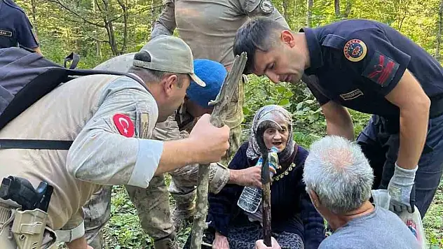 Ormanda kaybolan yaşlı kadın bulundu