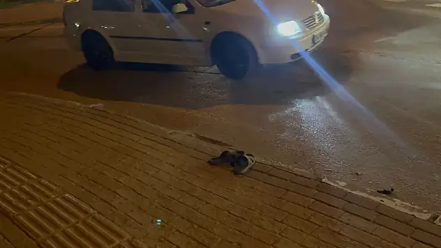 Tırın ezdiği kadın toprağa verildi