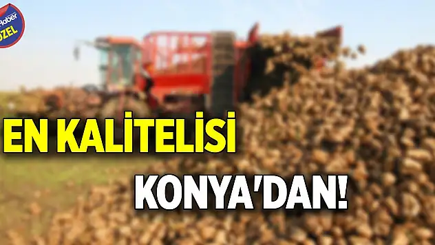En kalitelisi Konya'dan!