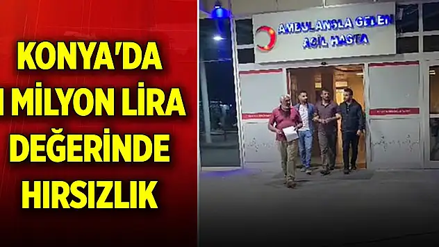 Konya'da 1 milyon lira değerinde hırsızlık yapan şahıs yakalandı