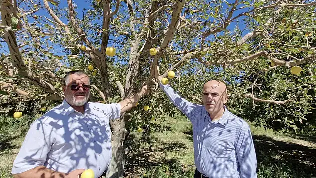 Karaman Ovasında korkulan oldu
