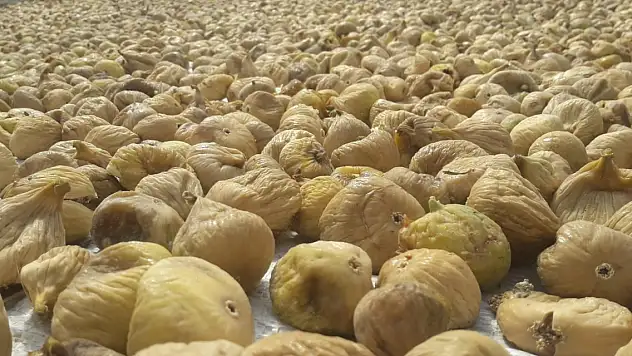 Kuru meyve ihracatçıları Hindistan seferine çıkıyor