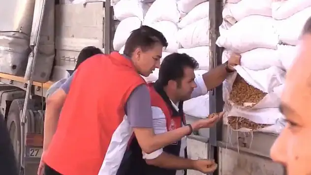 Suriye'den gelen TIR'da 79 ton ceviz içi ele geçirildi