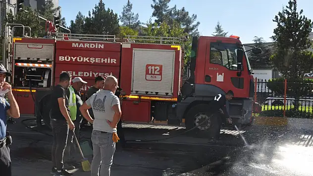 Mardin'de yaya geçidinde TIR'ın çarptığı yayadan acı haber