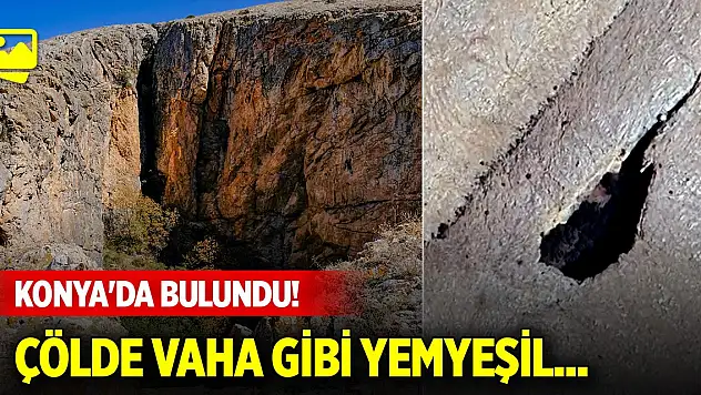 Konya'da bulundu! Çölde vaha gibi yemyeşil...