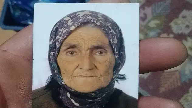 Zonguldak'ta domuz sanılarak vurulan kadın öldü