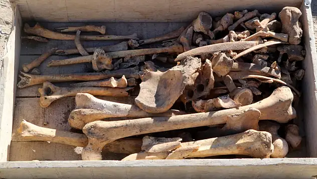 5 bin yıllık iskelet bulundu