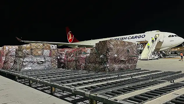 Koli ve kargo gönderi sayıları belli oldu