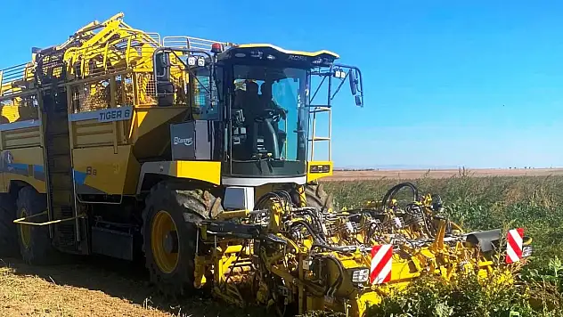 Kulu'da pancar hasadı başladı