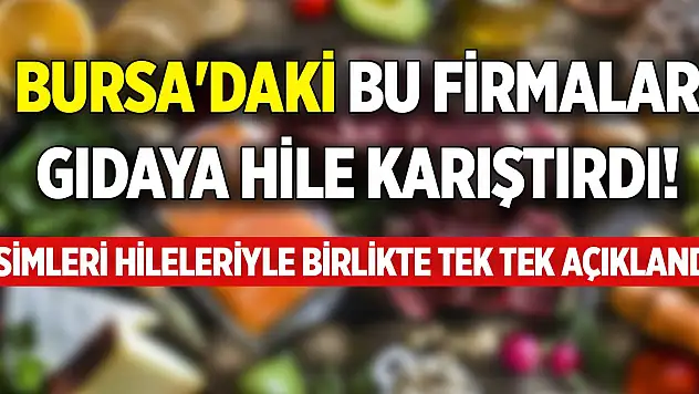 Bursa'daki bu firmalar gıdaya hile karıştırdı! İsimleri hileleriyle birlikte tek tek açıklandı