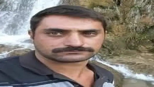 Odun kesmeye gitti, hayatını kaybetti