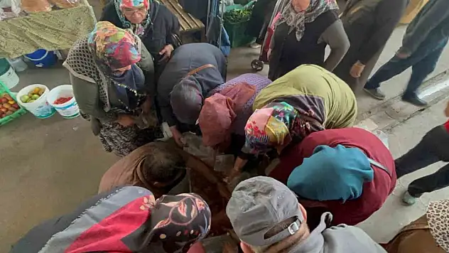 Pazarda mantar izdihamı