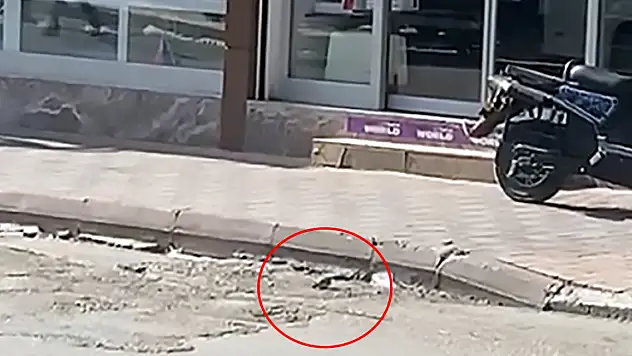 Yol kenarında el bombası bulundu