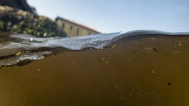 'İzmir Körfezi Acil Eylem Planı' açıklandı