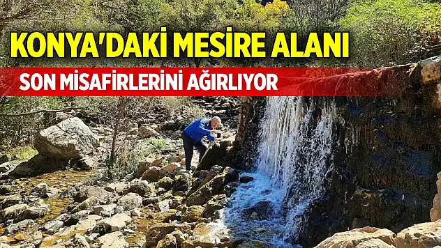 Konya'daki mesire alanı son misafirlerini ağırlıyor