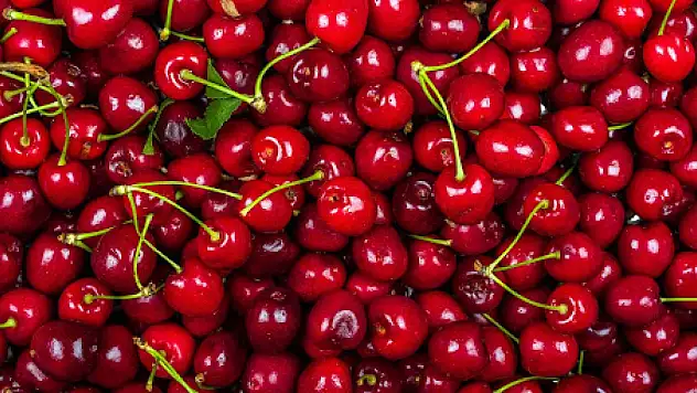 Hadim Kirazı coğrafi işaret yolunda