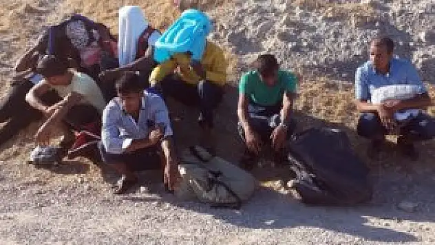 Arama yaparken 11 kaçak göçmen buldular