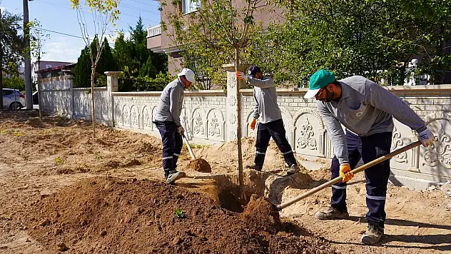 Konya'nın yeşil dokusu güçleniyor