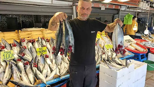 Palamut irileşti, fiyatı yüz güldürdü