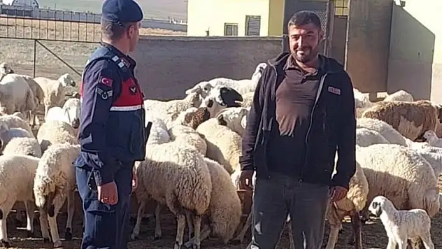 Konya'da kaybolan küçükbaş hayvanlar bakın nasıl bulundu