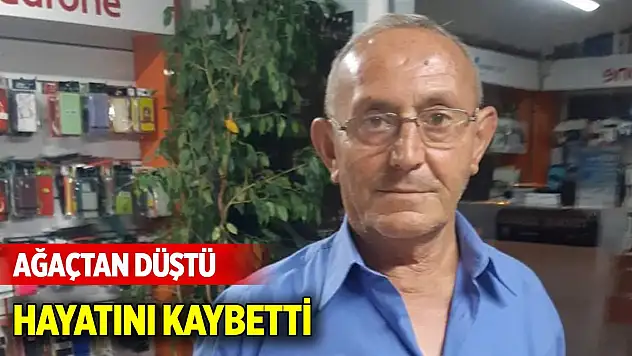 Ceviz ağacından düşen adam hayatını kaybetti