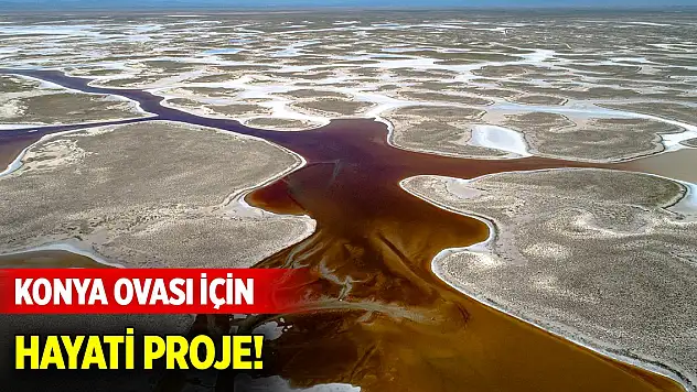 Konya Ovası için hayati proje... Genler, kuraklıkta yetişebilecek bitkilere aktarılacak