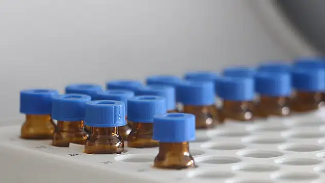 Kenevirin şizofreni üzerindeki etkileri