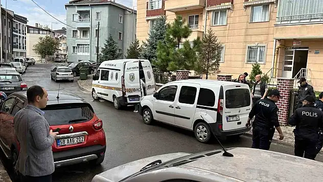 80 yaşında, kedi yüzünden dehşet saçtı