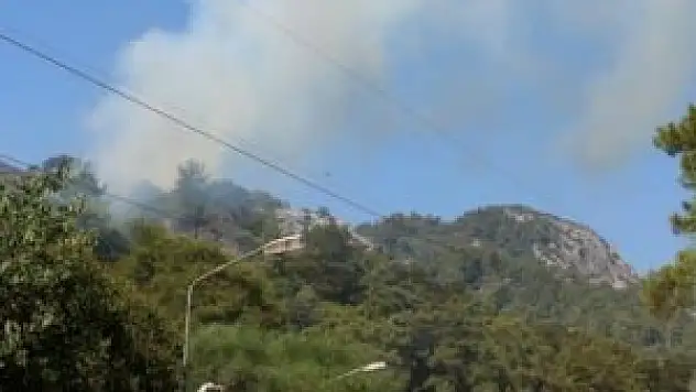 Marmaris'te orman yangını