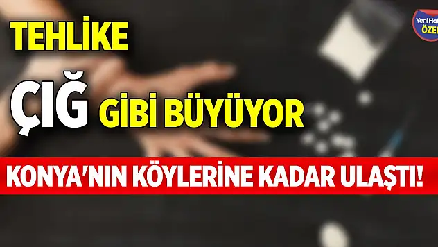 Konya'nın köylerine kadar ulaştı! Tehlike çığ gibi büyüyor