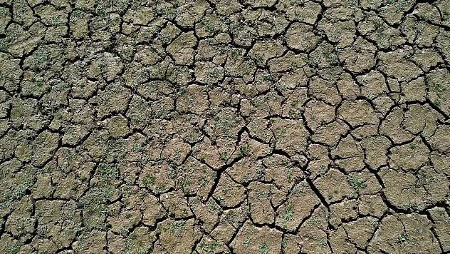 Göl kurudu, dünyaca ünlü armutlar sulanamadı