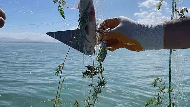 Beyşehir Gölü'ndeki balıkçı tekneleri denetlendi