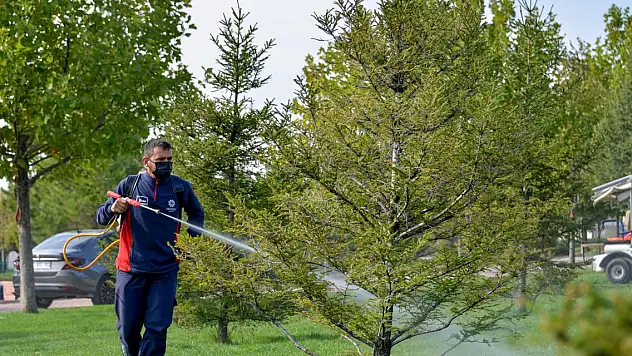 Meram'ın yeşil dokusu kışa hazır