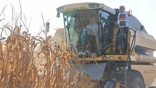 Konya'nın üretimde birinci olduğu üründe hasat zamanı