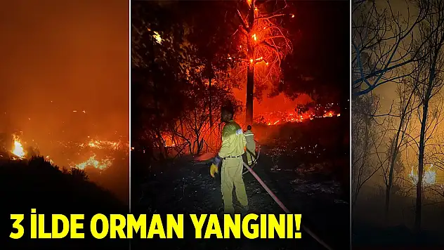 Muğla, Adana ve Mersin'de orman yangını!