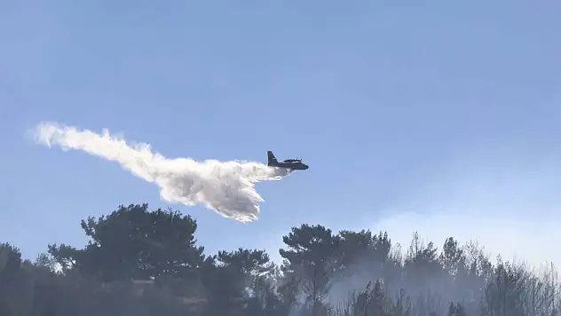 Muğla'nın 2 ilçesindeki orman yangınlarında son durum