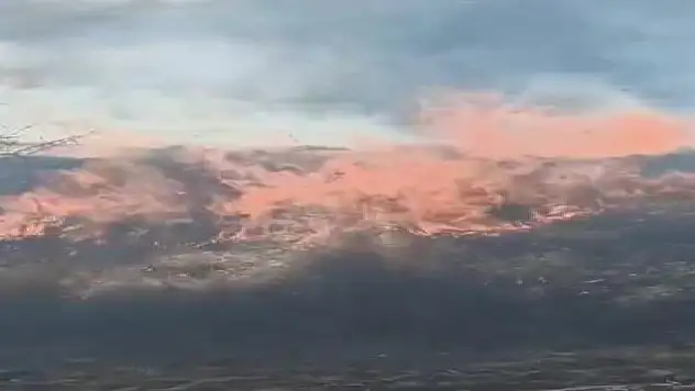 Denizli'de orman yangını