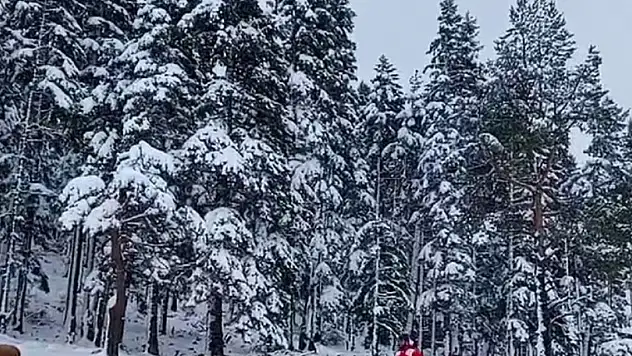 Kar nedeniyle mahsur kalan yaylacılar kurtarıldı
