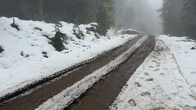 Meteoroloji, hava durumu tahminlerini paylaştı! İşte Kar yağışı beklenen yerler