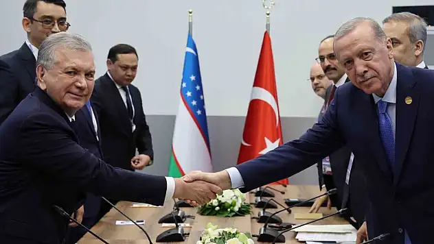 Cumhurbaşkanı Erdoğan, Özbekistan Cumhurbaşkanı Mirziyoyev ile görüştü