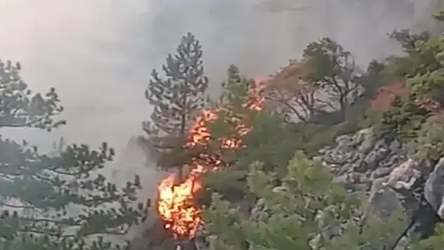 Denizli'deki orman yangınını söndürmek için vatandaşlar seferber oldu