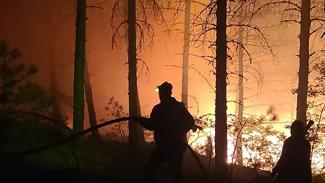 Kütahya'daki orman yangını