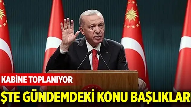 Cumhurbaşkanlığı Kabinesi yarın toplanacak! İşte gündemdeki konu başlıkları