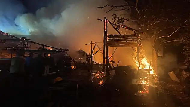 Bolu'da yangın: Ev, ahır ve odunluk zarar gördü