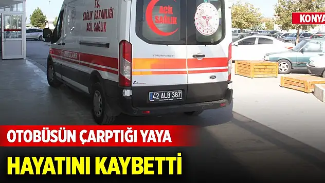 Konya'da kaza... Otobüsün çarptığı yaya hayatını kaybetti