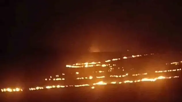 Siirt'teki anız yangını söndürüldü