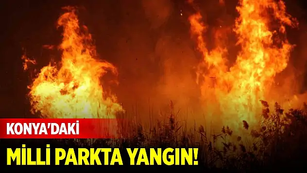 Son Dakika! Konya'daki milli parkta yangın!