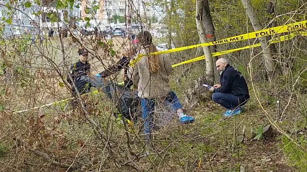Samsun'da 5 gündür kayıp kadın ormanda ölü bulundu