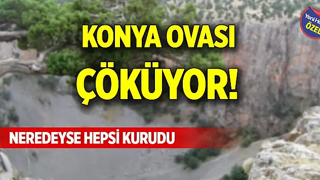 Konya Ovası çöküyor! Neredeyse hepsi kurudu